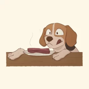chien-vole-nourriture-cuisine-table-viande-plat